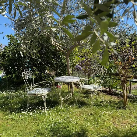 Luna Garden